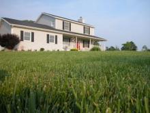 Turfgrass Facts