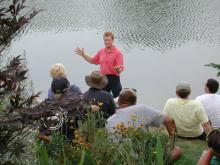 Letter from MTF regarding Annex 2001